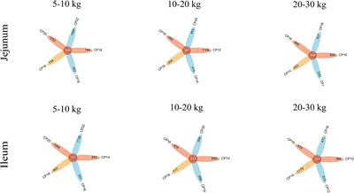 Crude protein content in diets associated with intestinal microbiome and metabolome alteration in Huanjiang mini-pigs during different growth stages